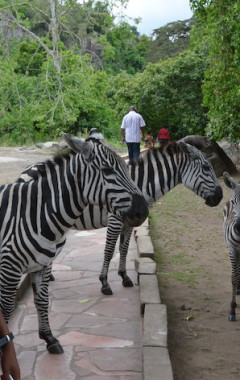 Saanane Islands National Parke